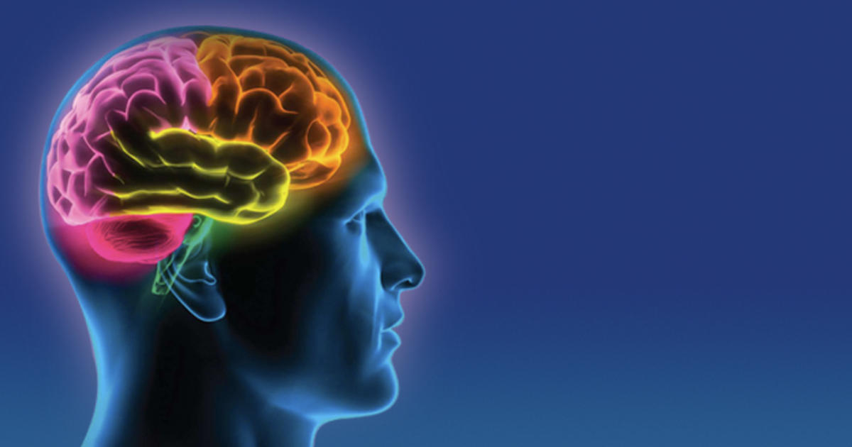Terapia Cognitivo Comportamental