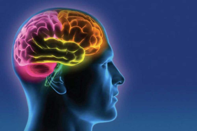 Terapia Cognitivo Comportamental